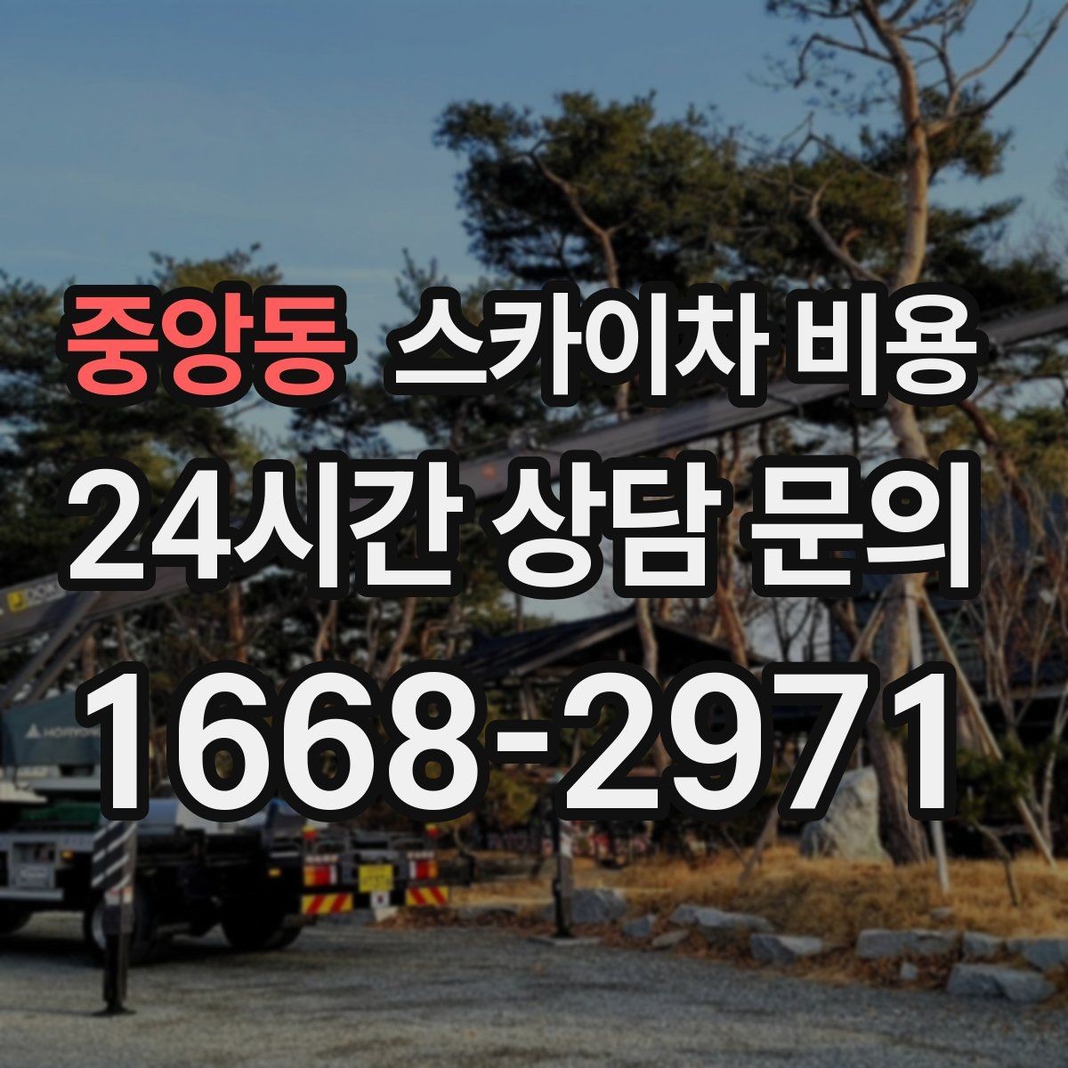 중앙동 스카이차 비용 나무 전지·가지치기는 작업 범위가 핵심입니다