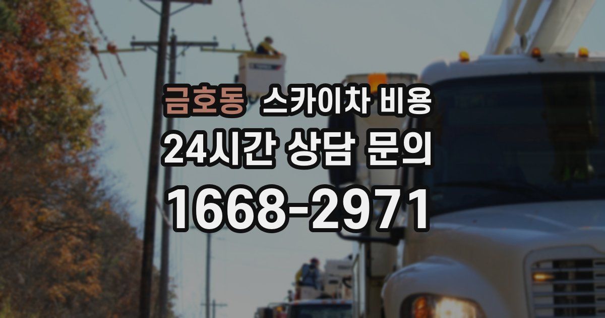 금호동 스카이차 비용