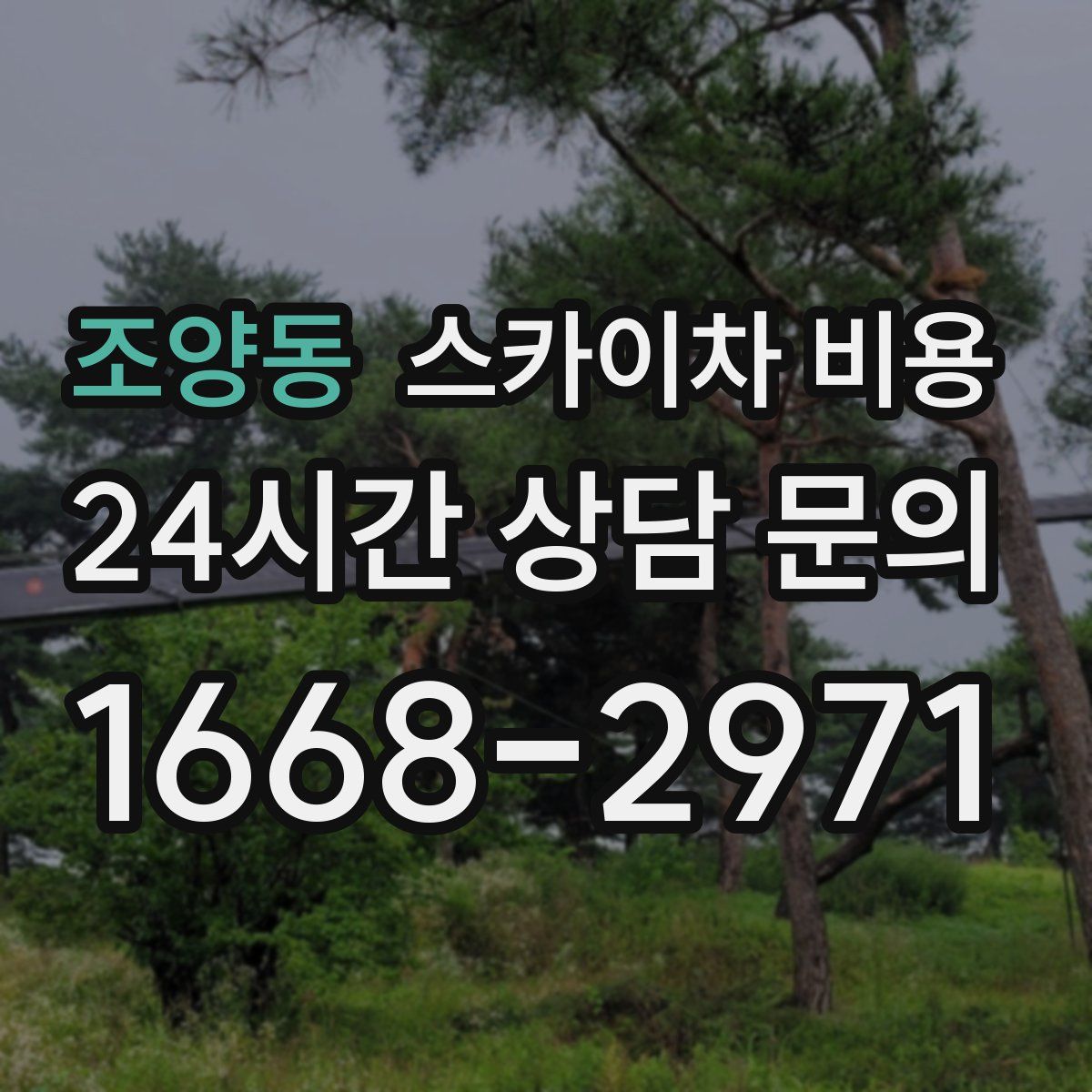 조양동 스카이차 비용