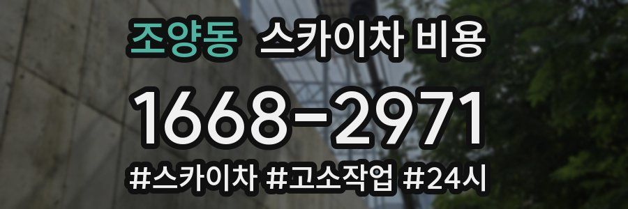 조양동 스카이차 비용