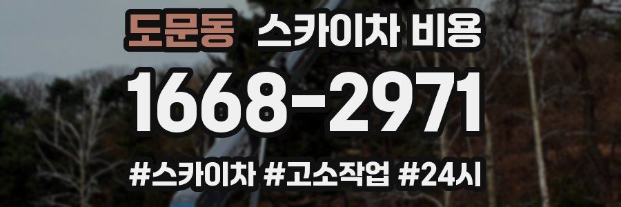 도문동 스카이차 비용