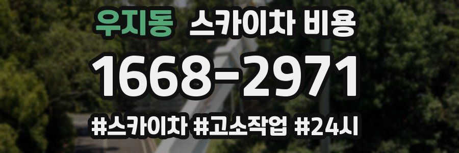 우지동 스카이차 비용