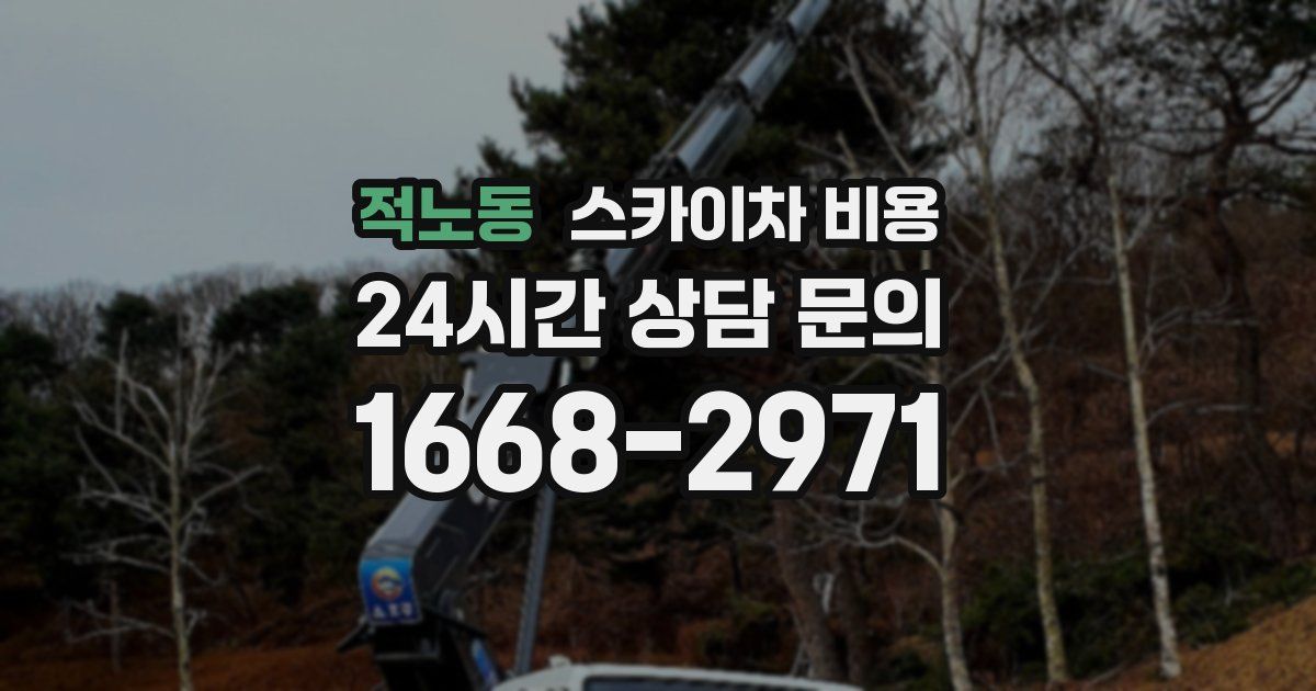 적노동 스카이차 비용