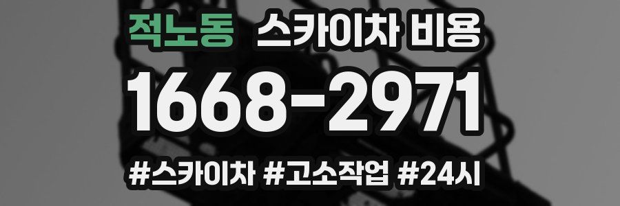 적노동 스카이차 비용