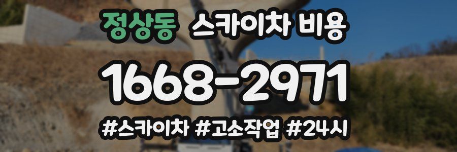 정상동 스카이차 비용