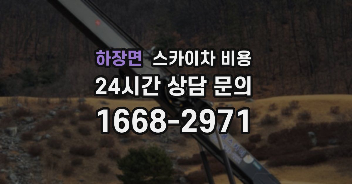 하장면 스카이차 비용