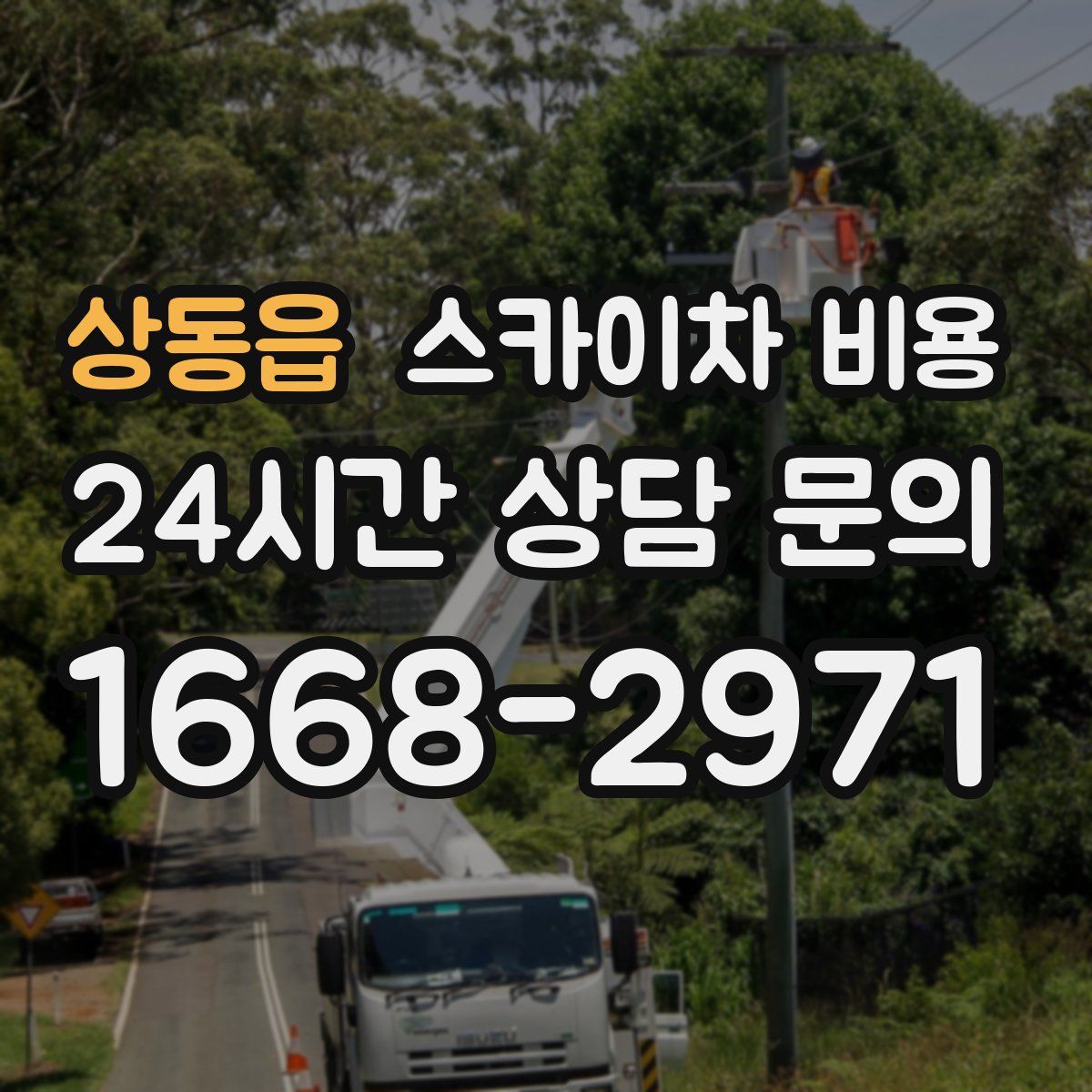 상동읍 스카이차 비용