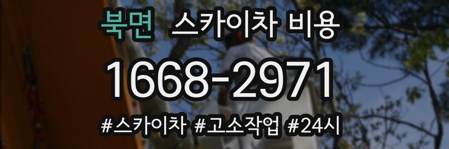 북면 스카이차 비용