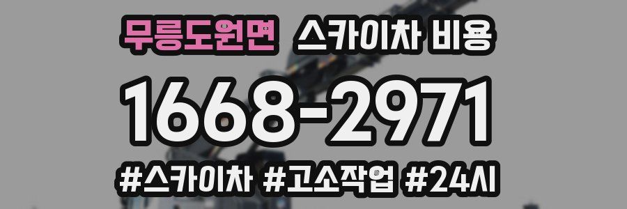 무릉도원면 스카이차 비용