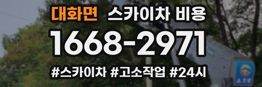 대화면 스카이차 비용