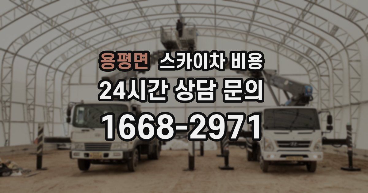 용평면 스카이차 비용