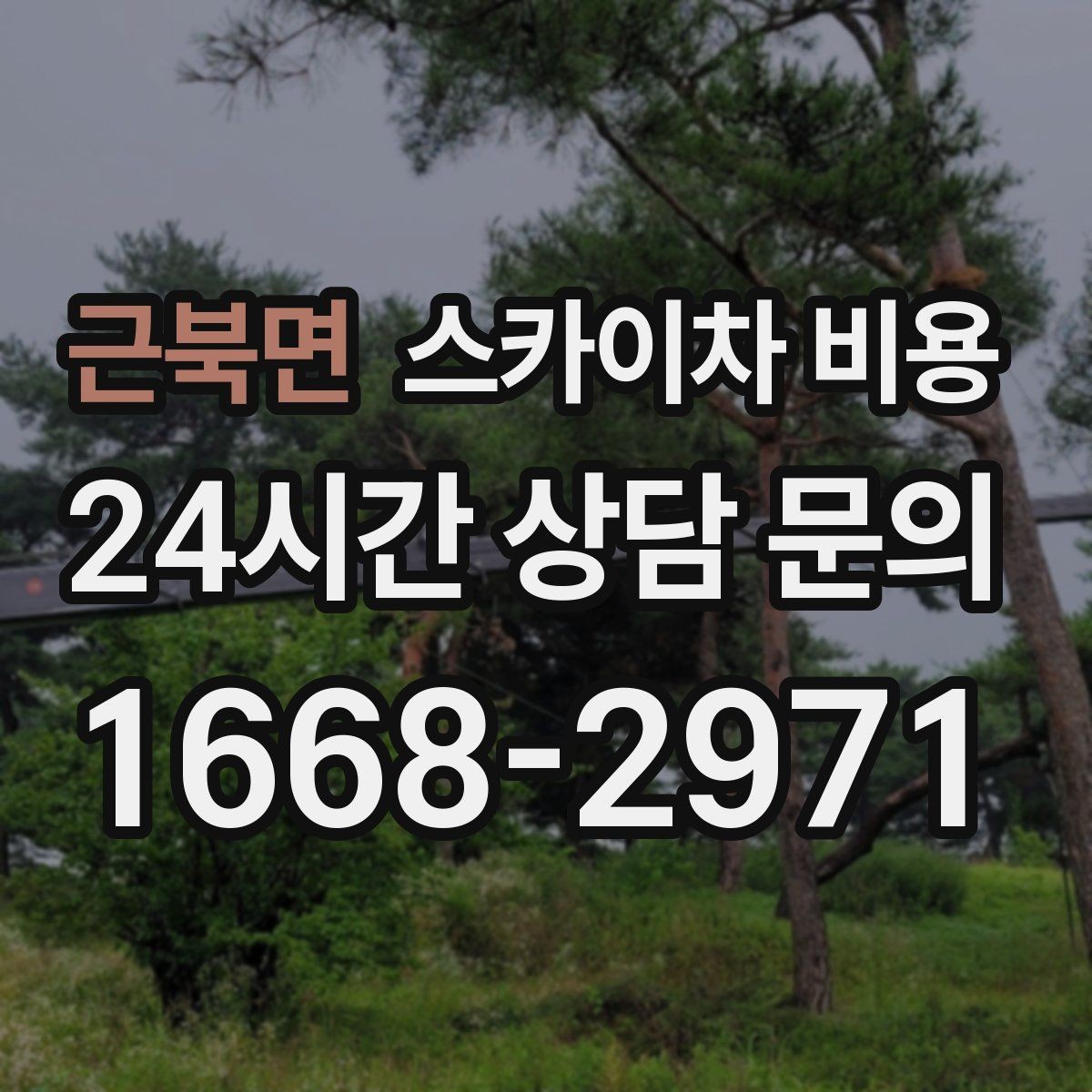 근북면 스카이차 비용 나무 가지치기 작업은 견적이 어떻게 나올까