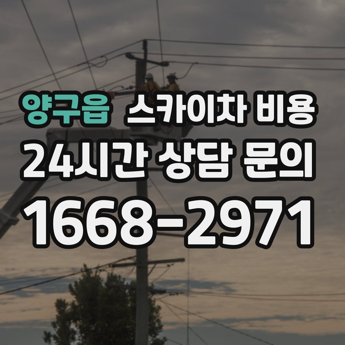 양구읍 스카이차 비용 높이만 같아도 가격이 다른 이유