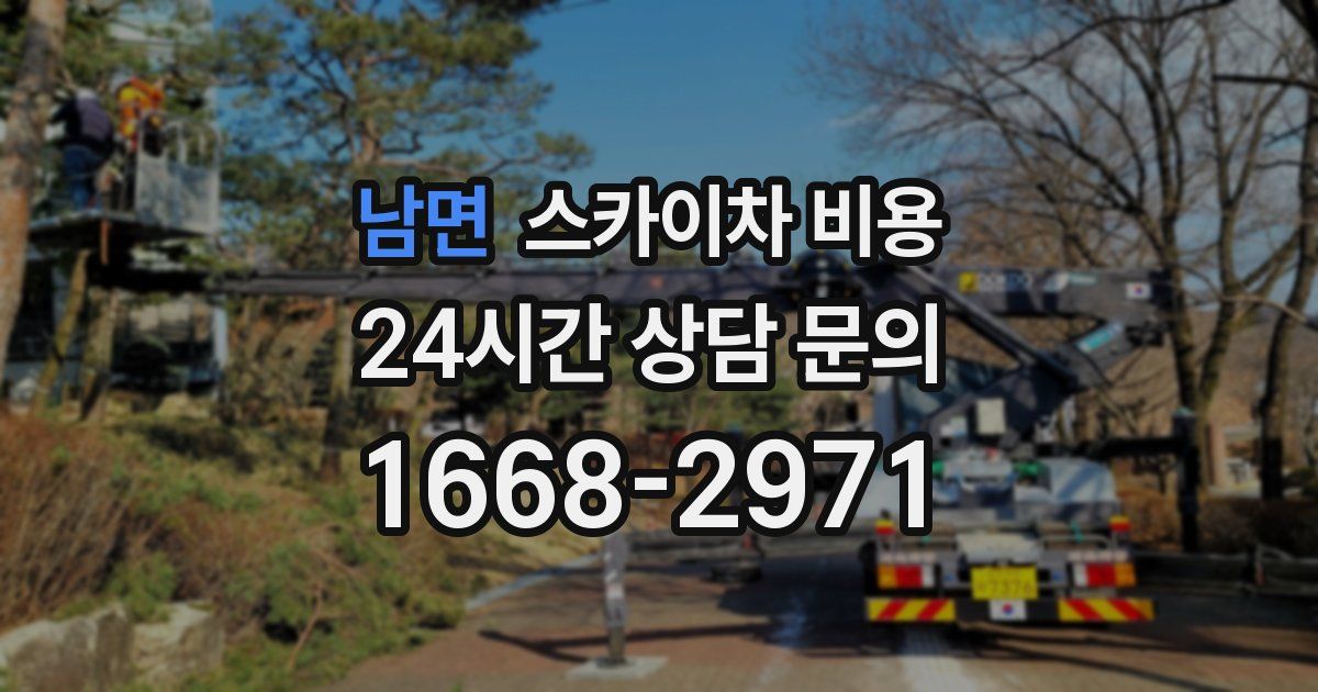 남면 스카이차 비용