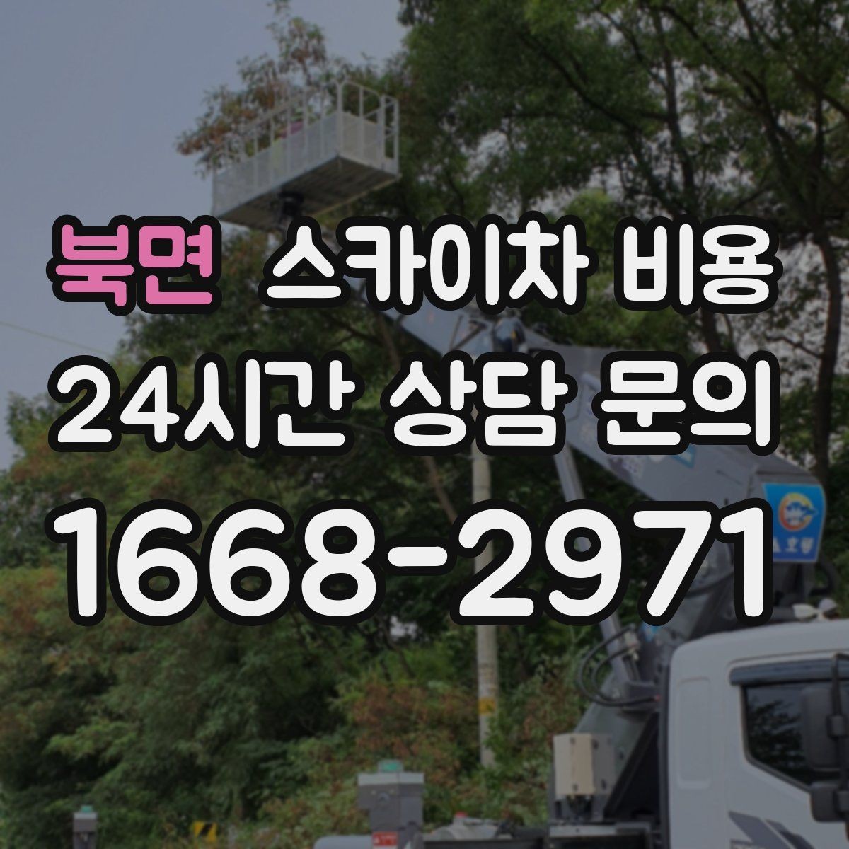 북면 스카이차 비용 작업자 준비 완료 후 호출하는 게 좋은 이유
