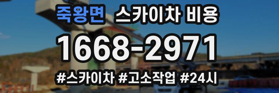 죽왕면 스카이차 비용