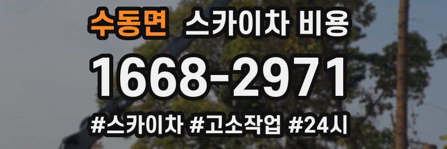 수동면 스카이차 비용