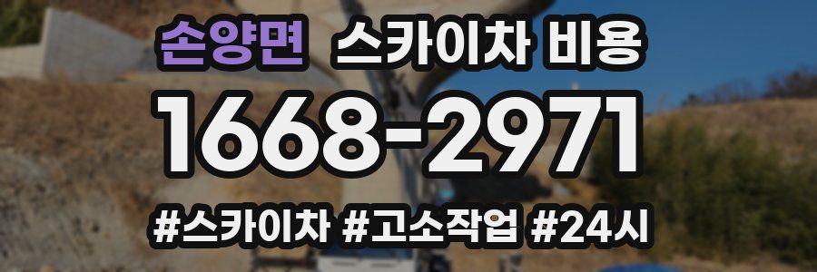 손양면 스카이차 비용