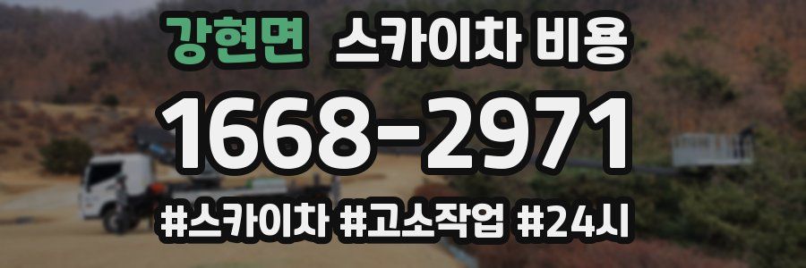 강현면 스카이차 비용