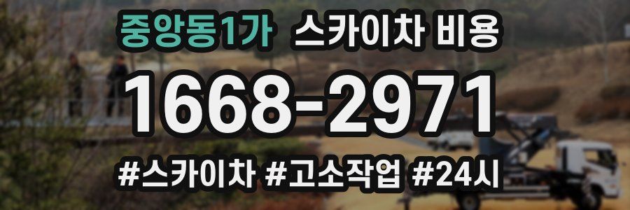 중앙동1가 스카이차 비용