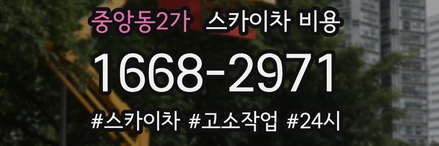 중앙동2가 스카이차 비용