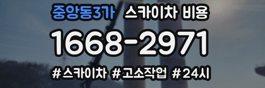 중앙동3가 스카이차 비용