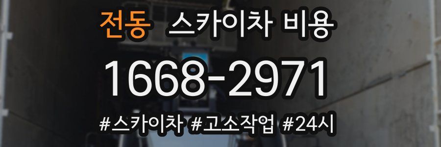 전동 스카이차 비용