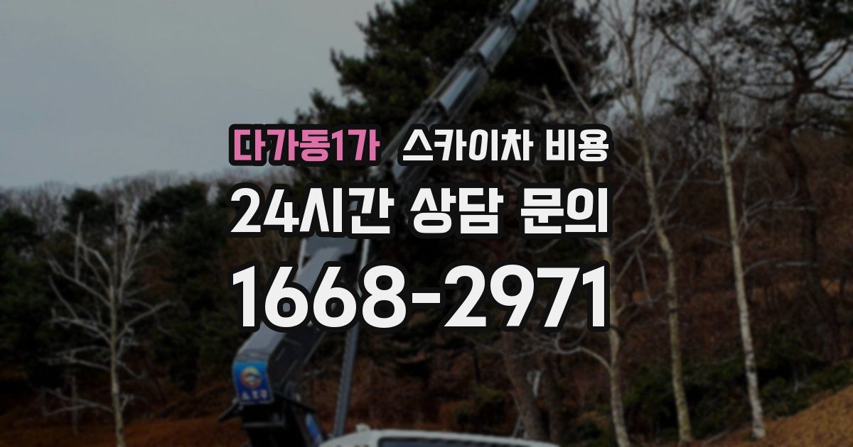 다가동1가 스카이차 비용