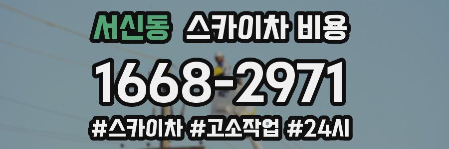 서신동 스카이차 비용