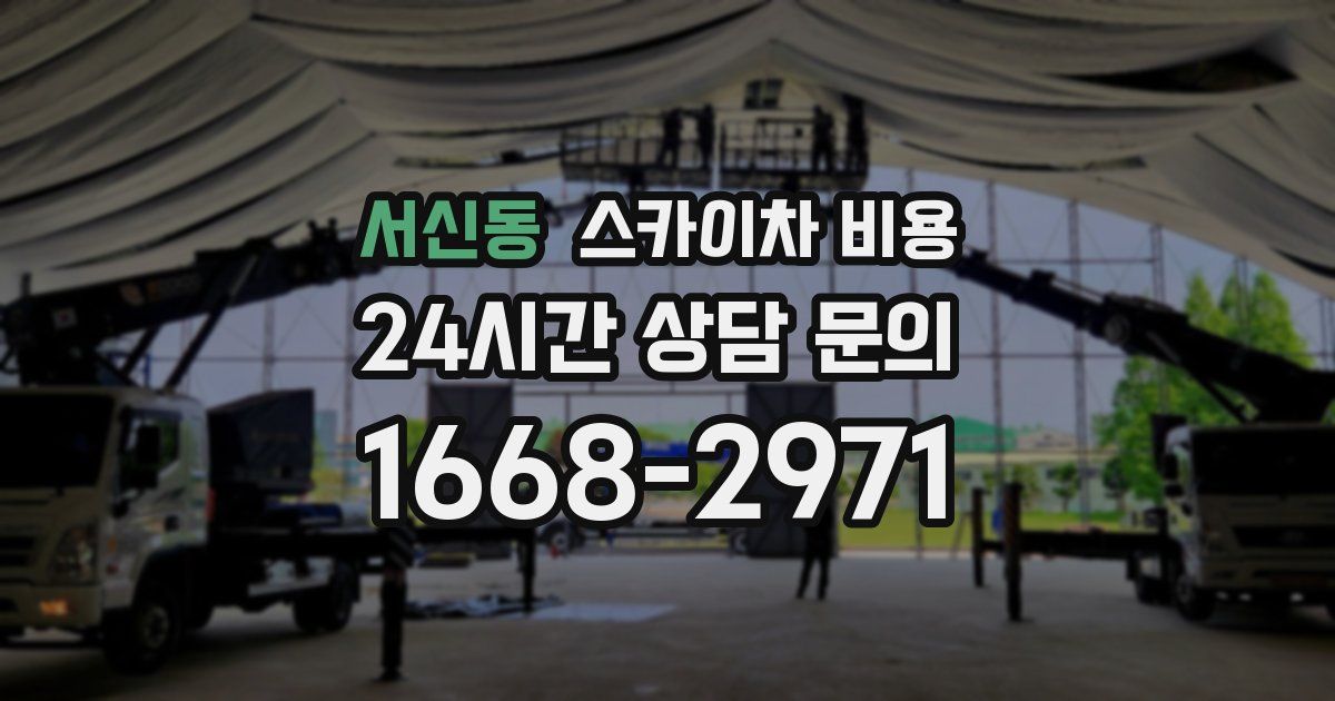 서신동 스카이차 비용