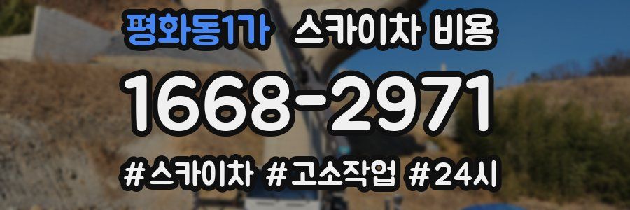 평화동1가 스카이차 비용