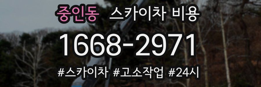 중인동 스카이차 비용