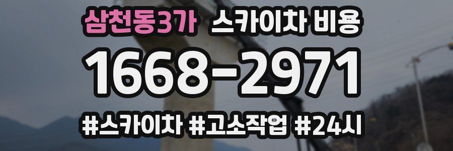 삼천동3가 스카이차 비용