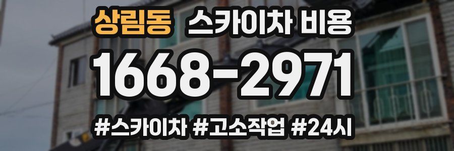 상림동 스카이차 비용
