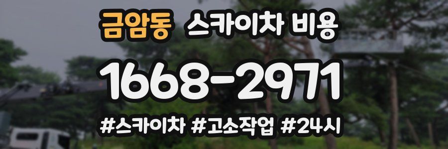 금암동 스카이차 비용