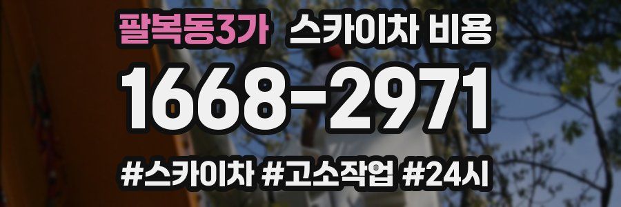 팔복동3가 스카이차 비용