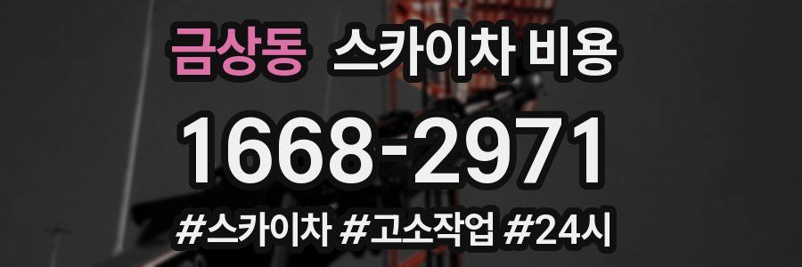 금상동 스카이차 비용