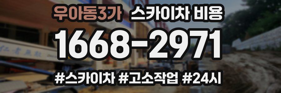 우아동3가 스카이차 비용