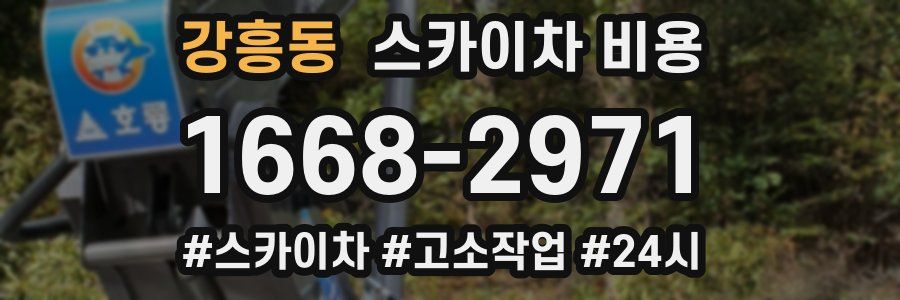 강흥동 스카이차 비용