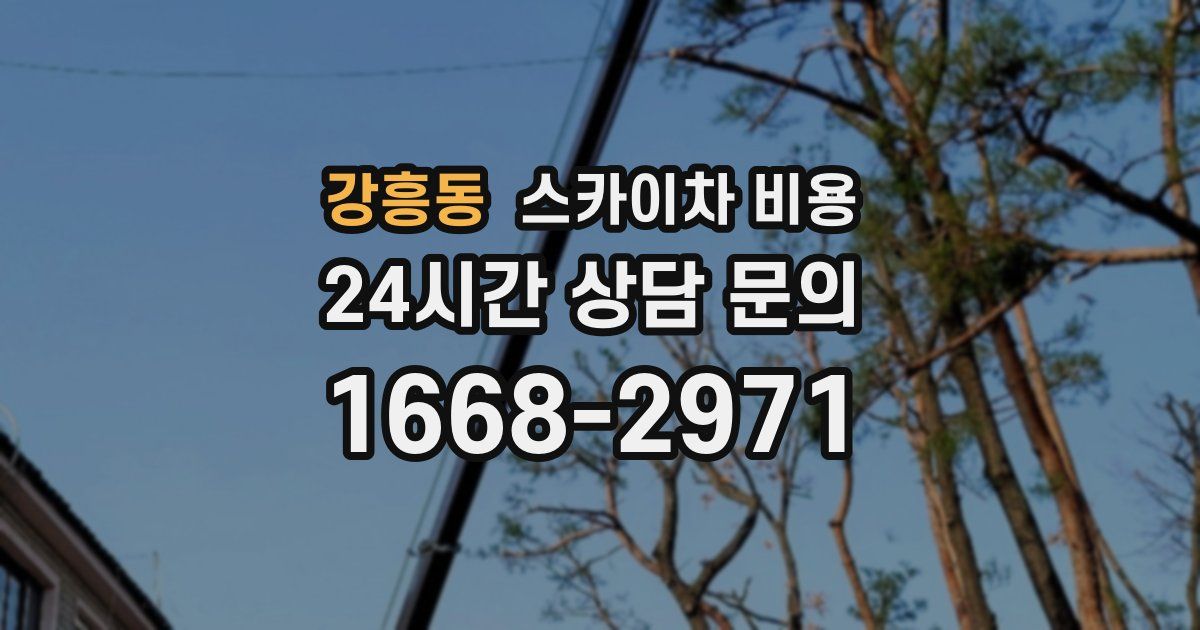 강흥동 스카이차 비용