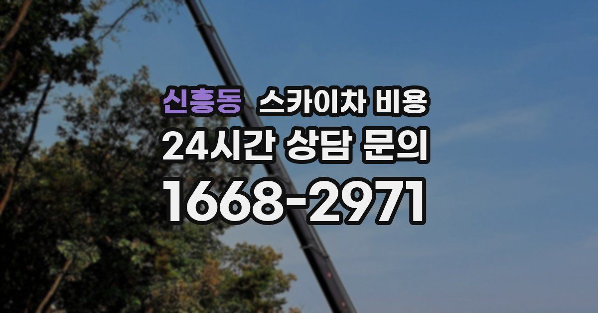 신흥동 스카이차 비용