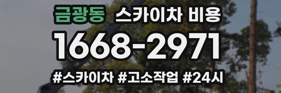 금광동 스카이차 비용