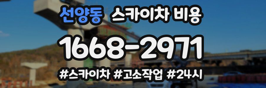 선양동 스카이차 비용