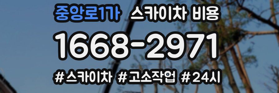 중앙로1가 스카이차 비용