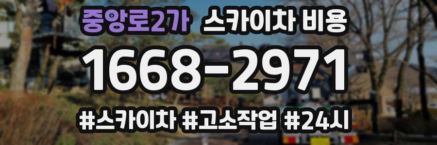 중앙로2가 스카이차 비용