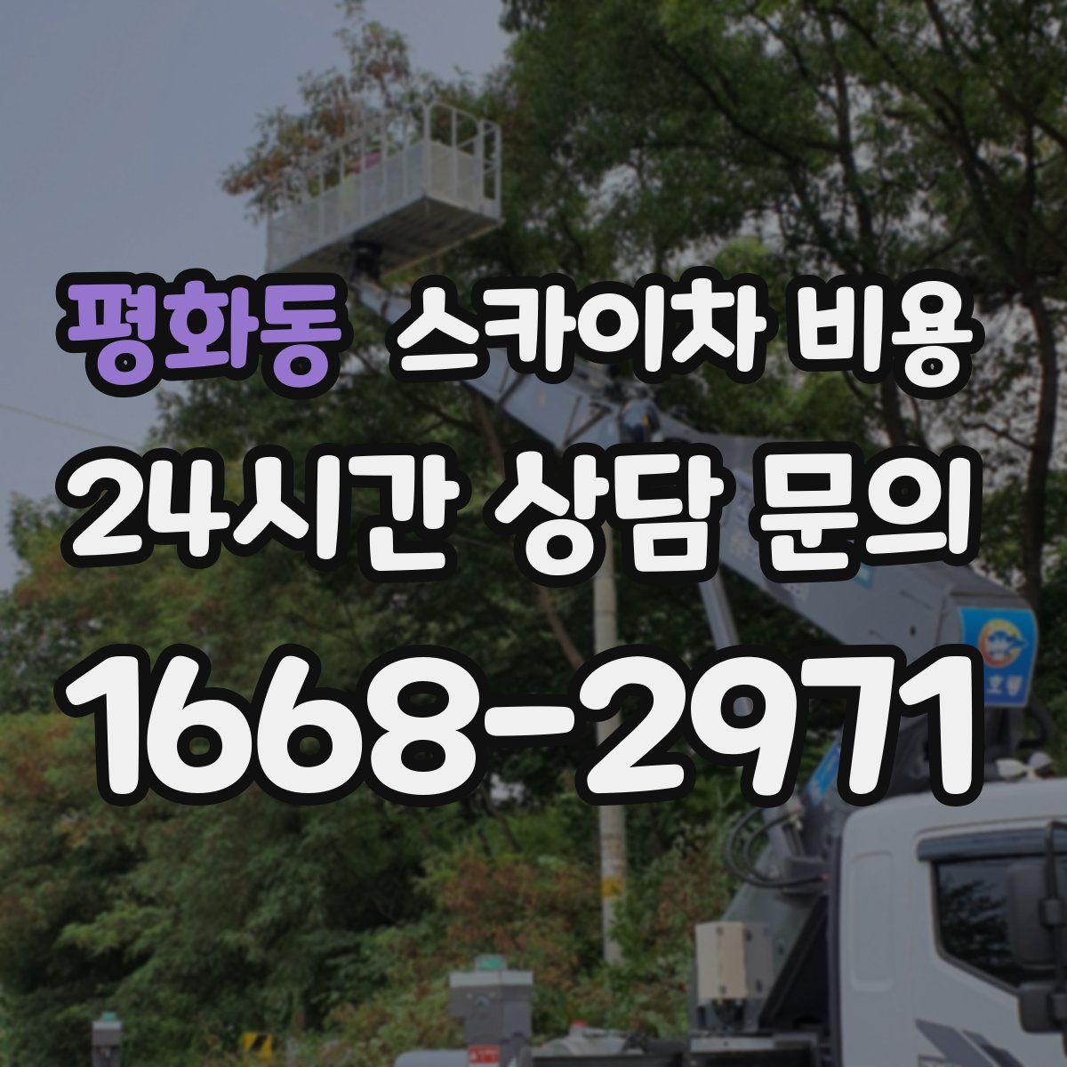 평화동 스카이차 비용