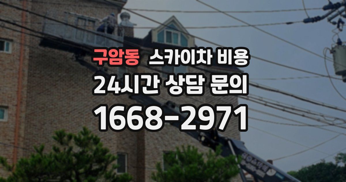 구암동 스카이차 비용