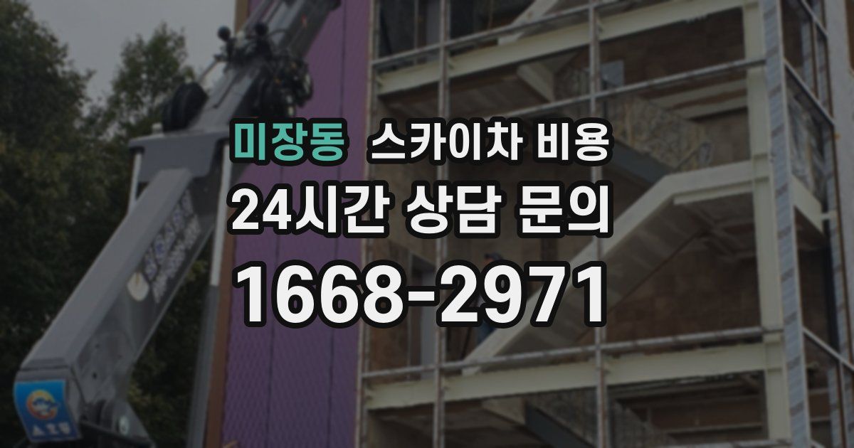 미장동 스카이차 비용