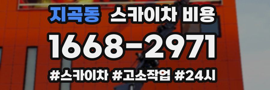 지곡동 스카이차 비용