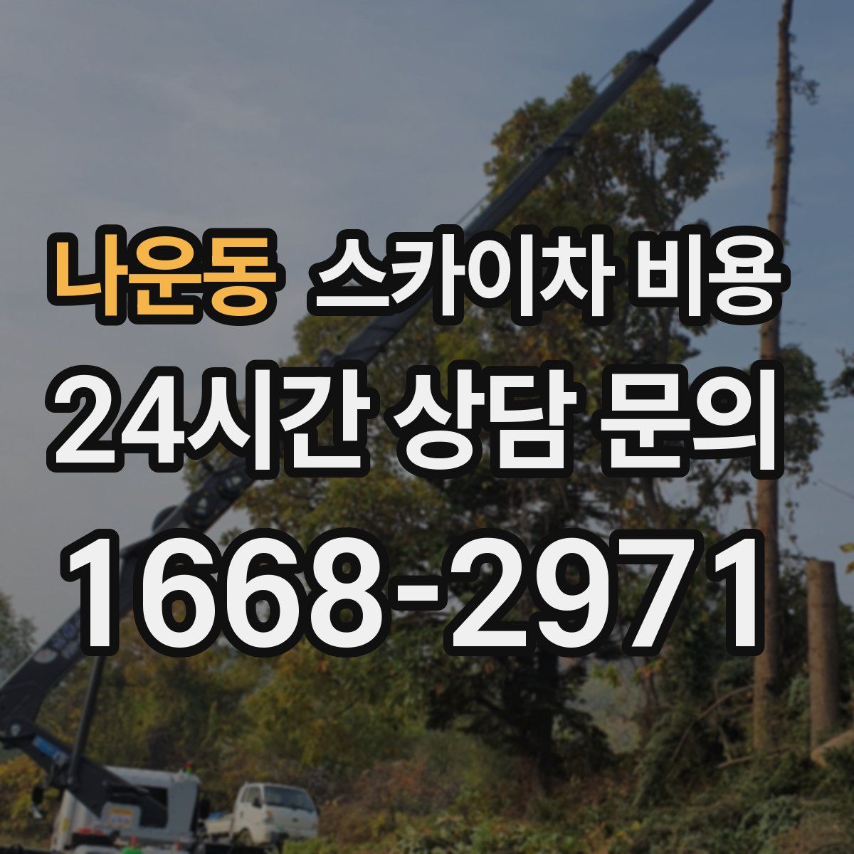 나운동 스카이차 비용